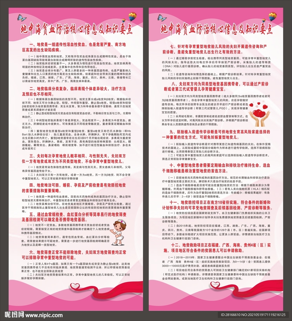 地中海贫血防治核心信息展架