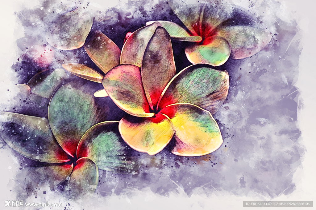 手绘素描彩铅水彩花卉图