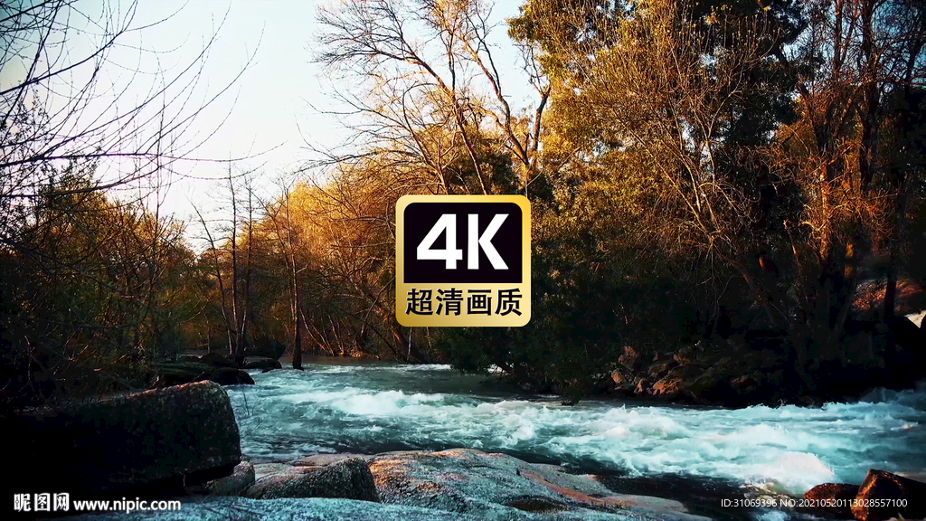 唯美风景森林流淌着清澈的河流