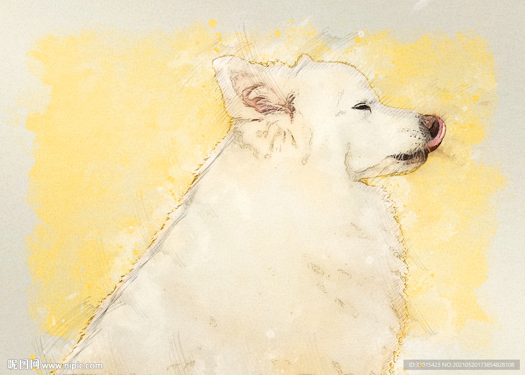 手绘小狗宠物犬素描彩绘图