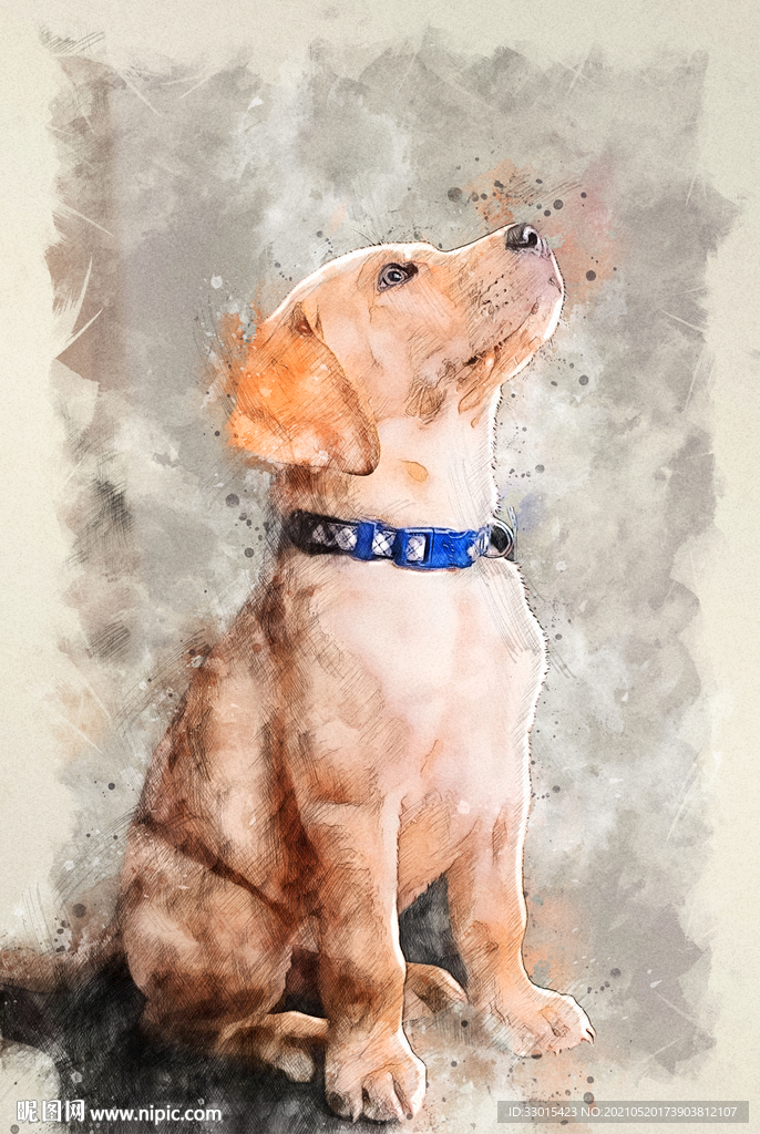 手绘小狗宠物犬素描彩绘图