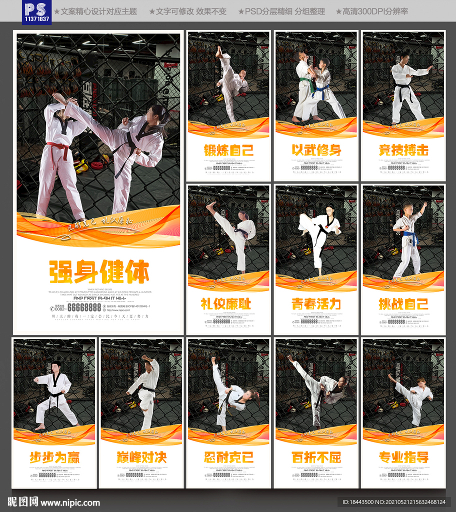 跆拳道海报