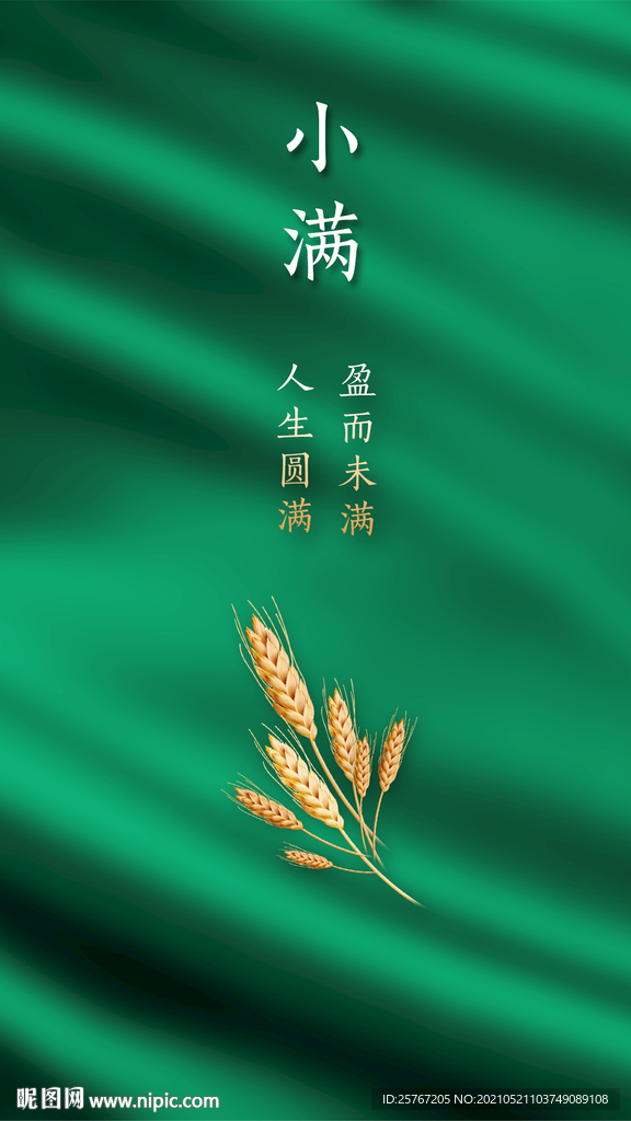 小满24节气夏天夏至绿色纹理海