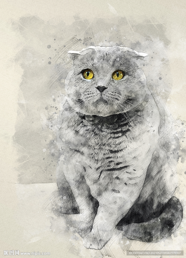 手绘素描宠物猫装饰画海报