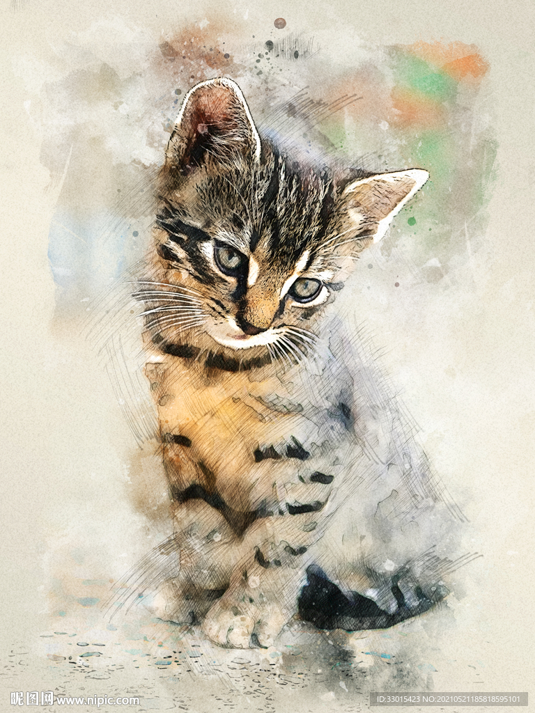 手绘素描宠物猫装饰画海报