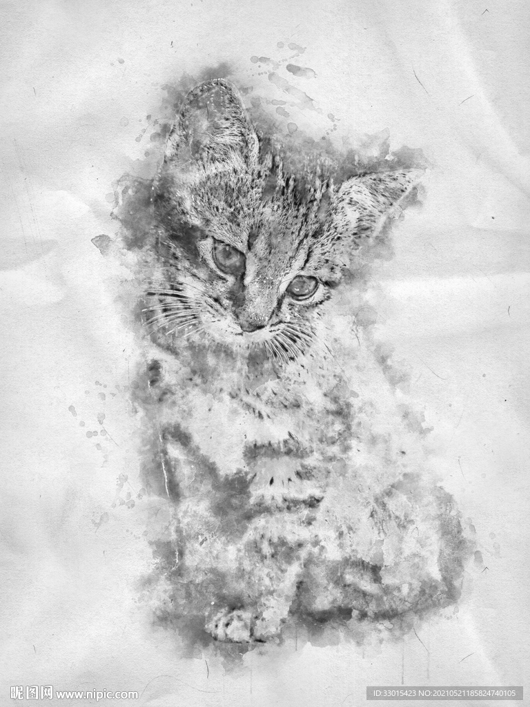 手绘素描宠物猫装饰画海报