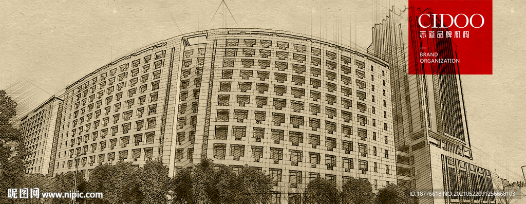 山东大学