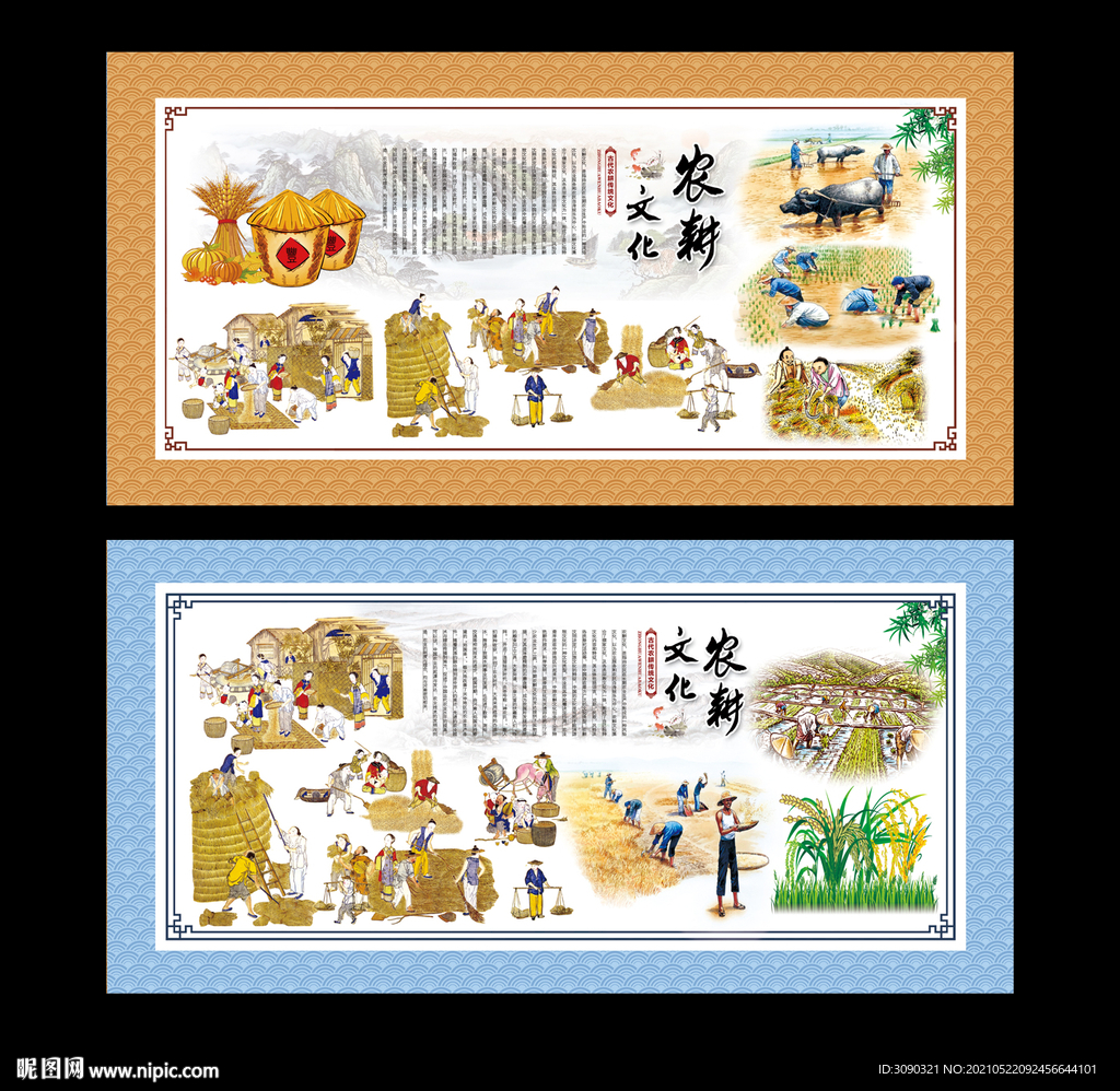 水稻展板 