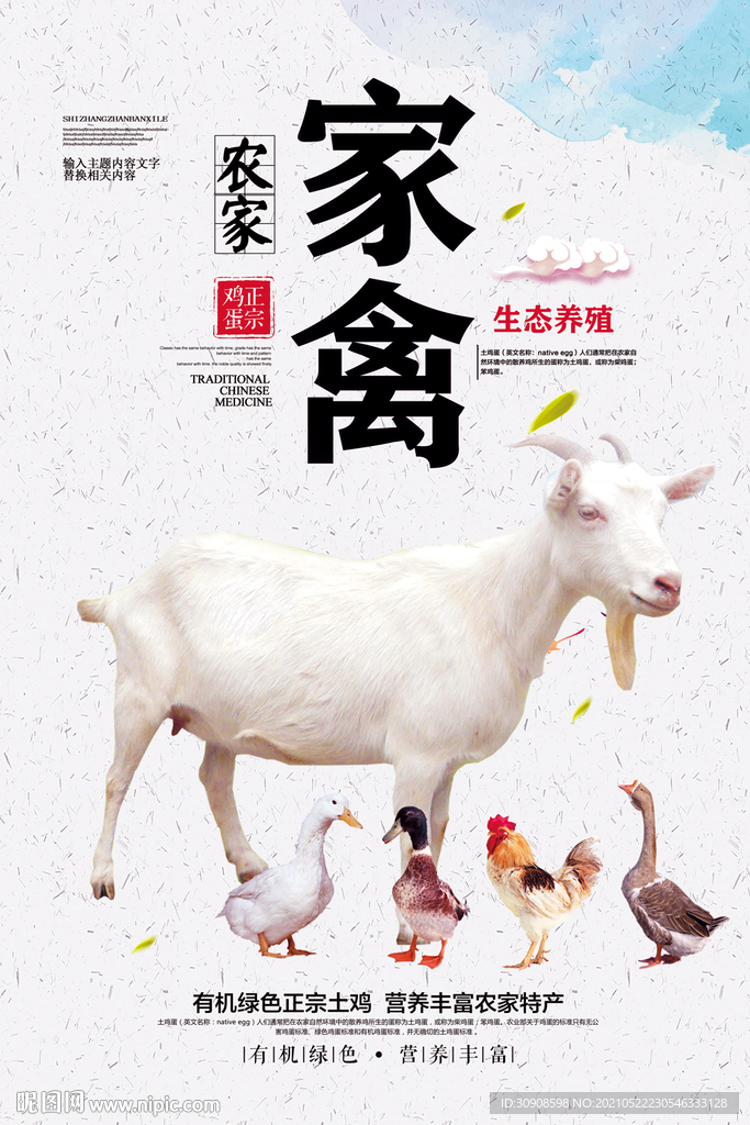 家禽