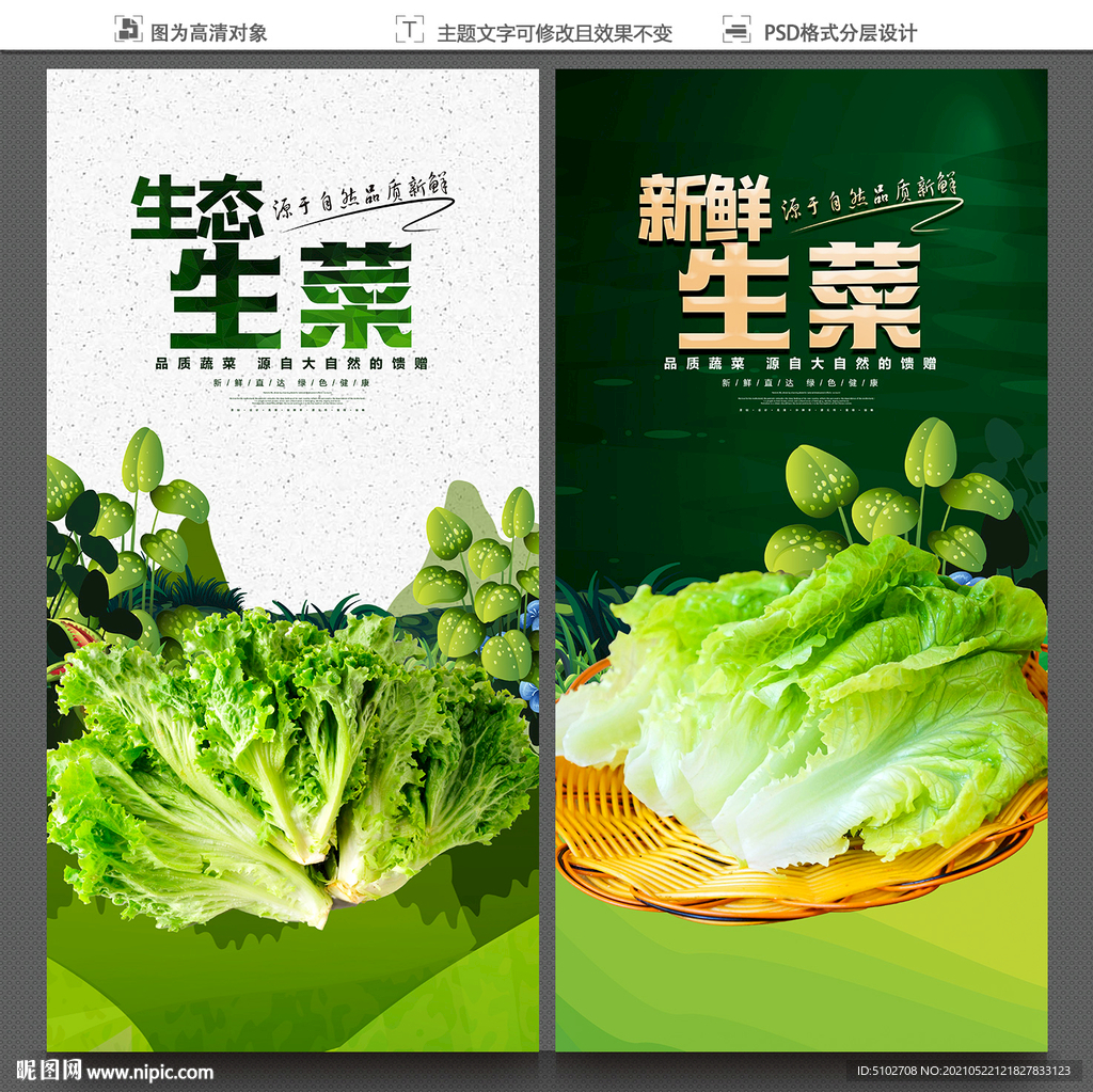 生菜