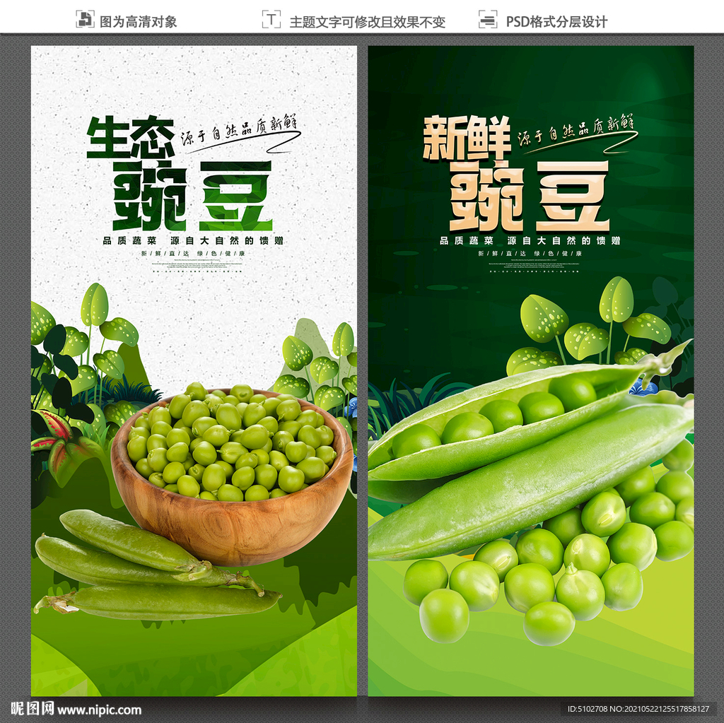 豌豆