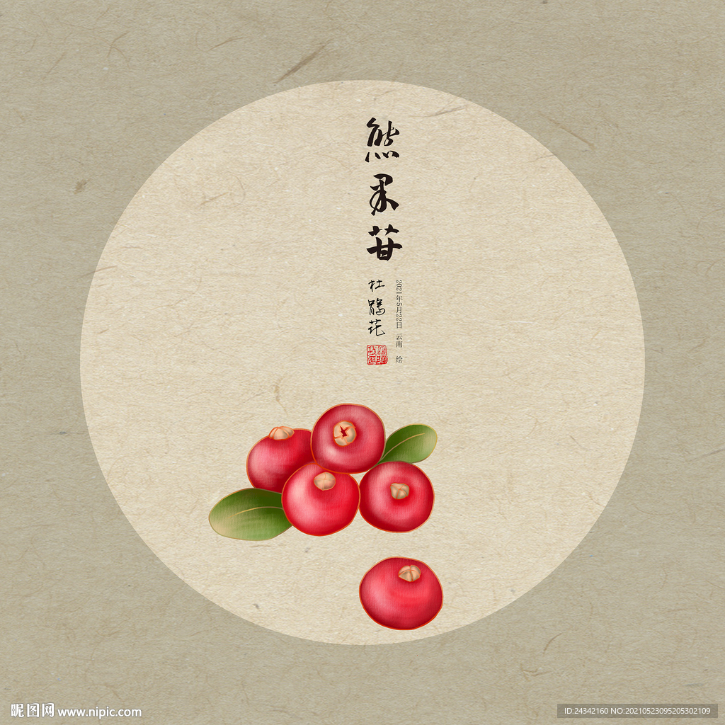 手绘熊果苷