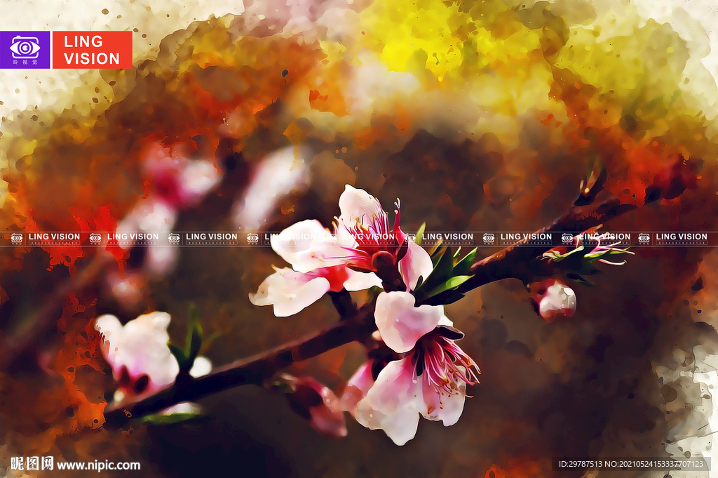 桃花