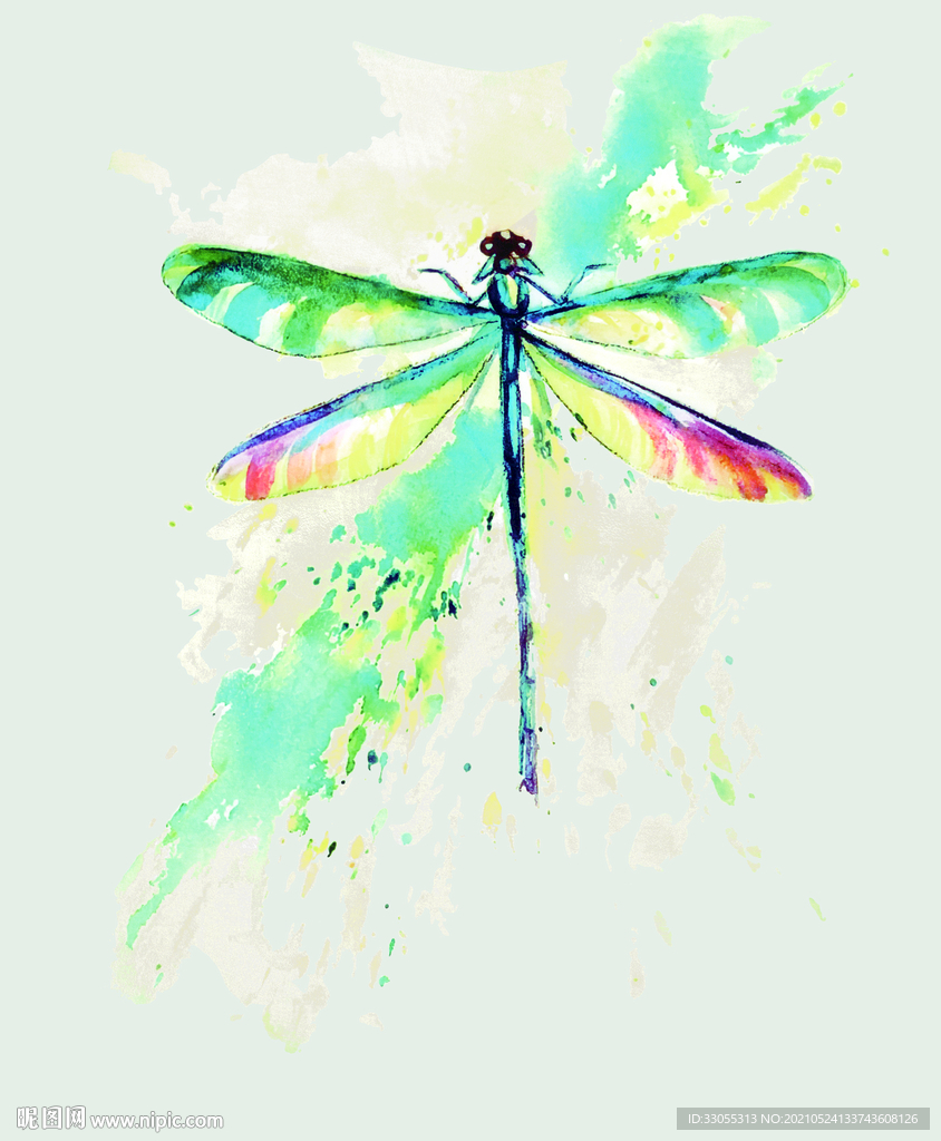 蝴蝶蜻蜓