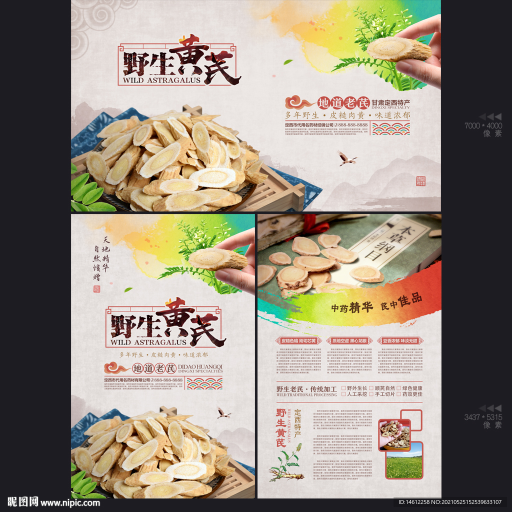 黄芪