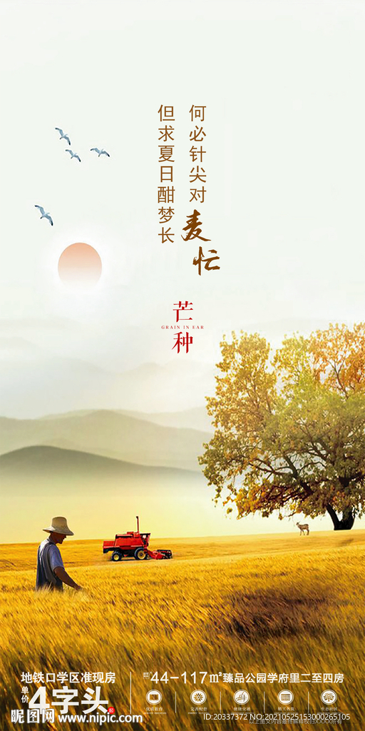 芒种