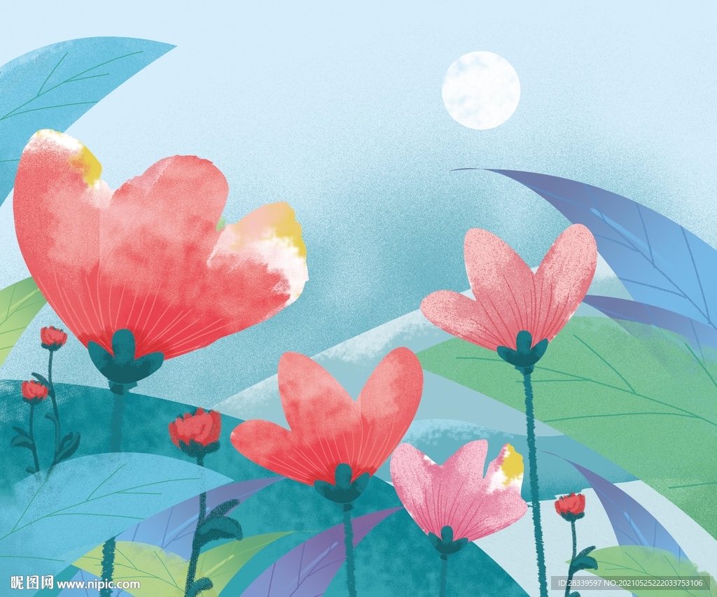 插画花植物手绘