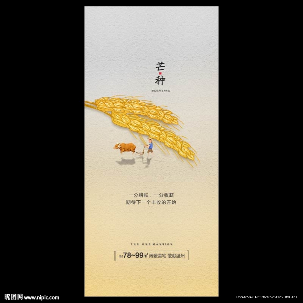 芒种