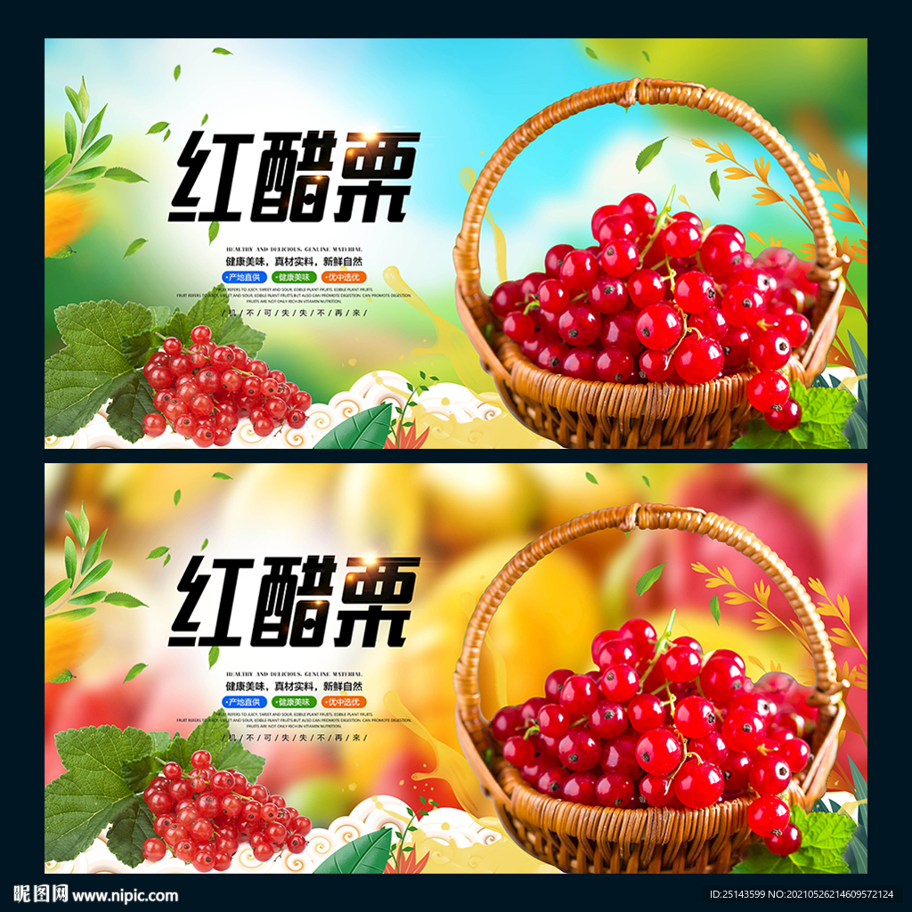 红醋栗