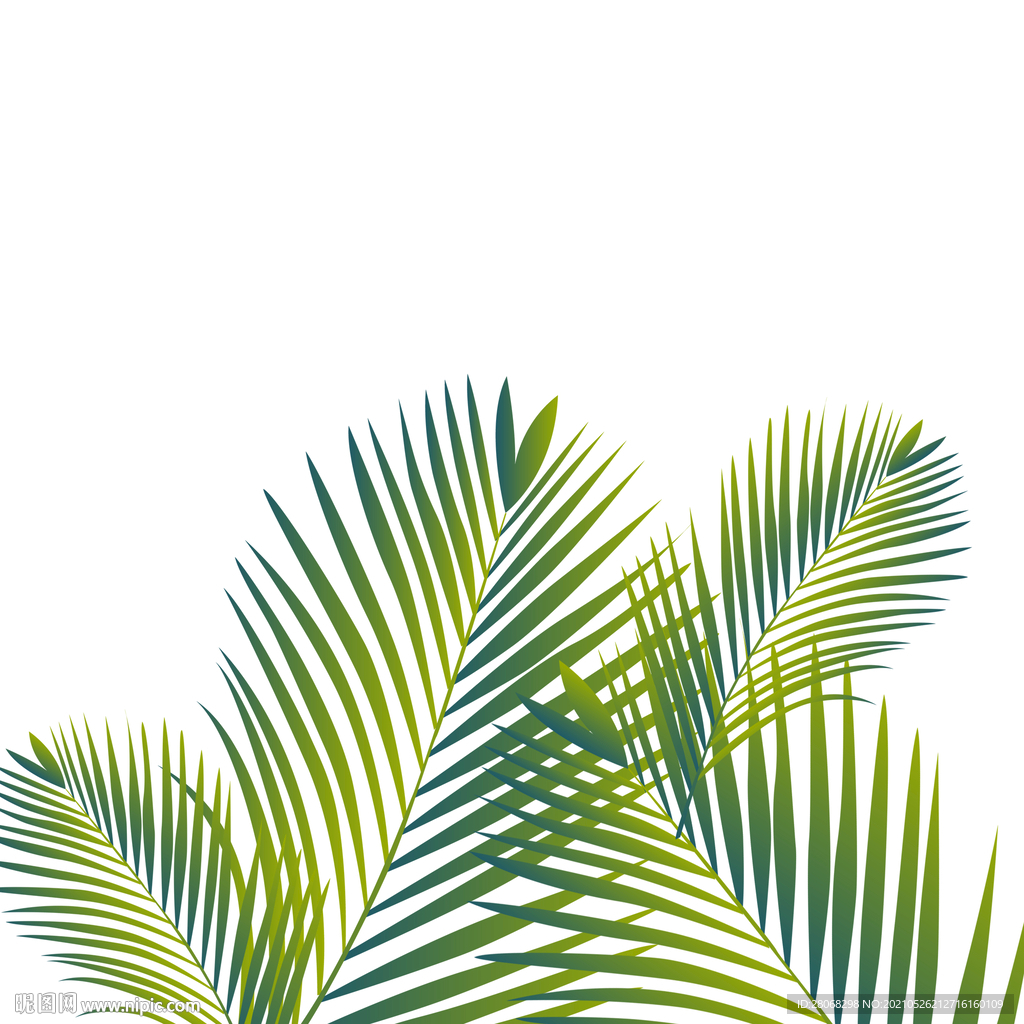 绿色植物芭蕉装饰元素