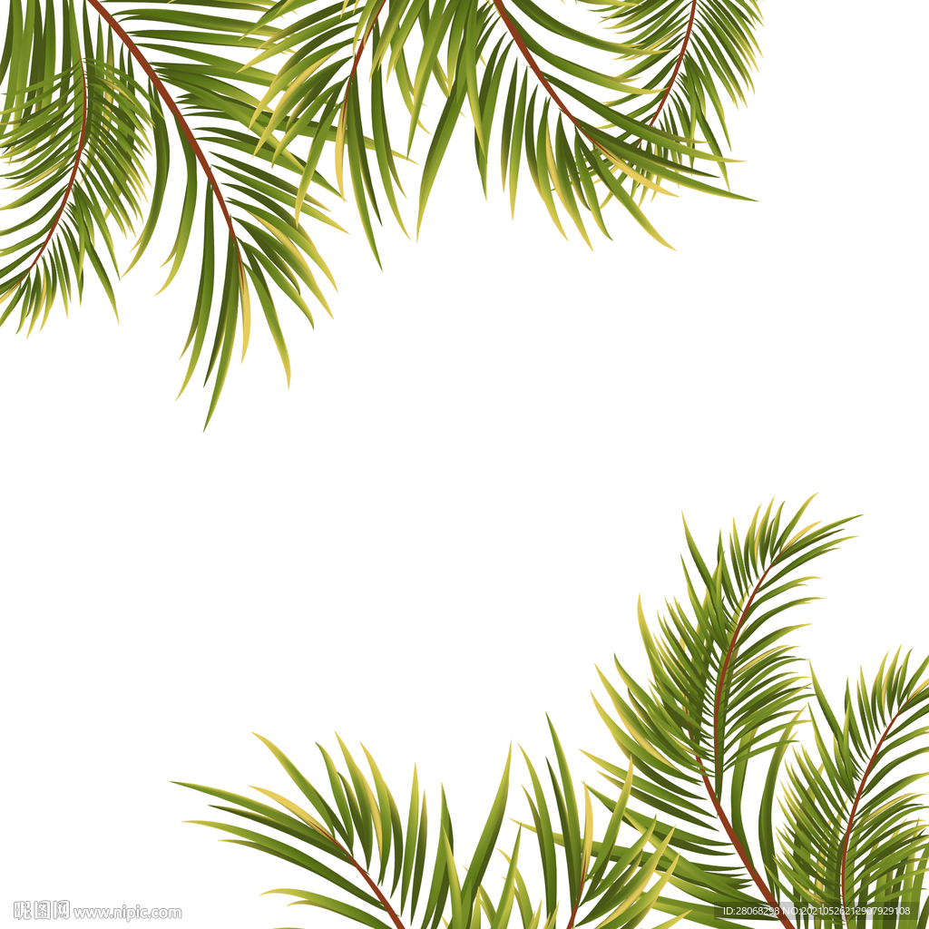 绿色夏季植物元素