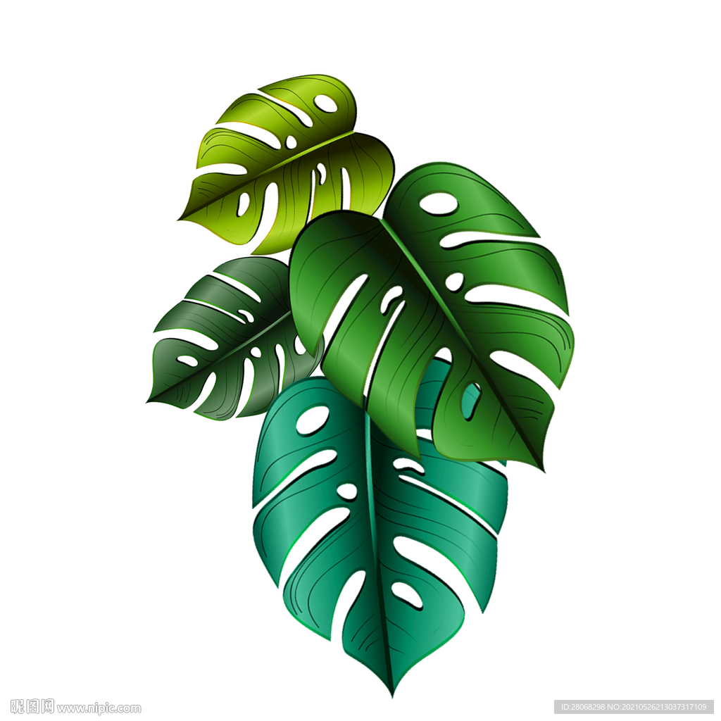 绿色植物装饰芭蕉元素