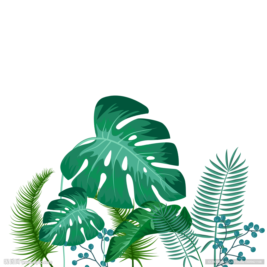 绿色芭蕉叶插画元素