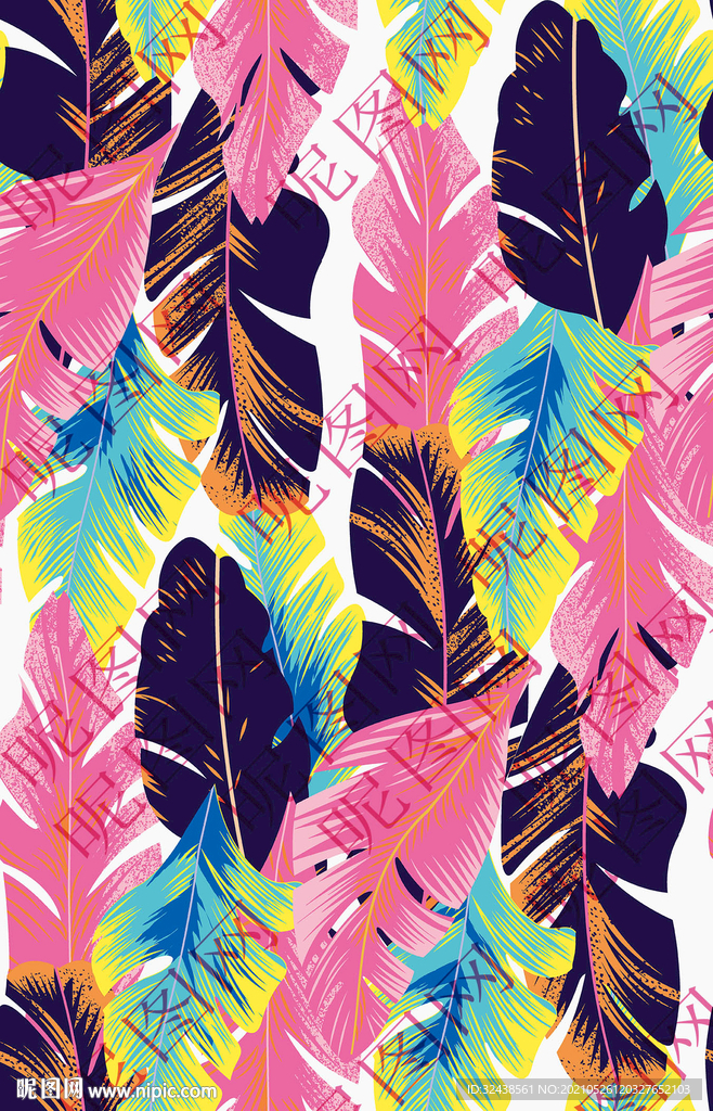 叶子  彩色羽毛