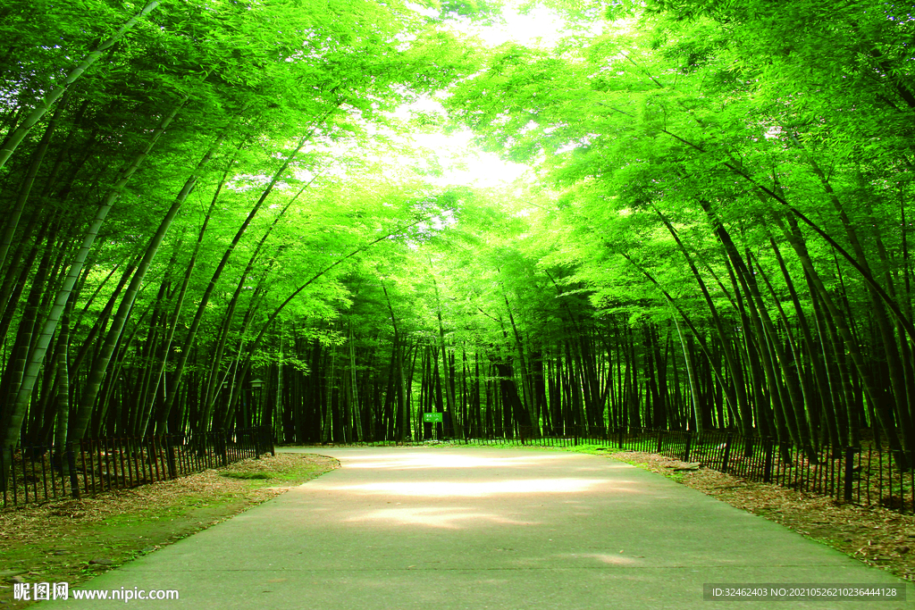 竹林背景墙