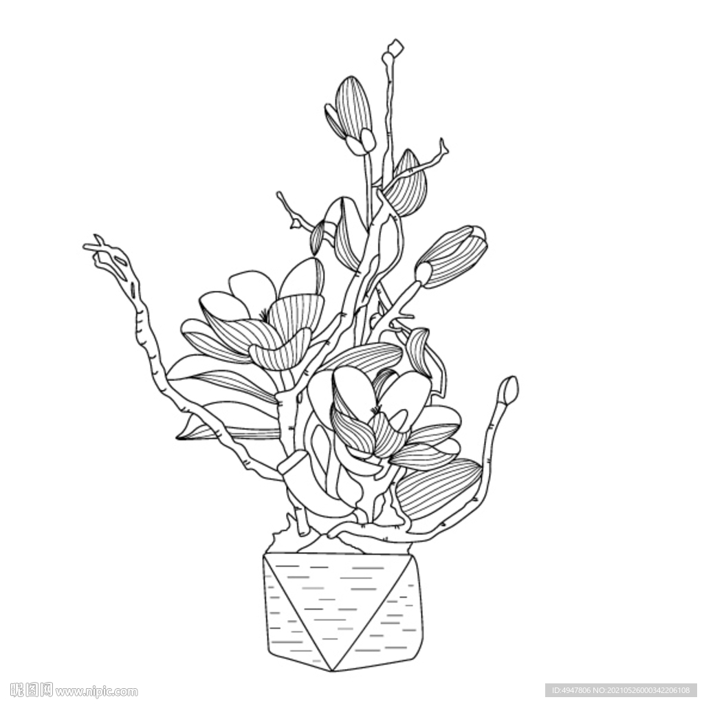 盆栽植物 矢量图