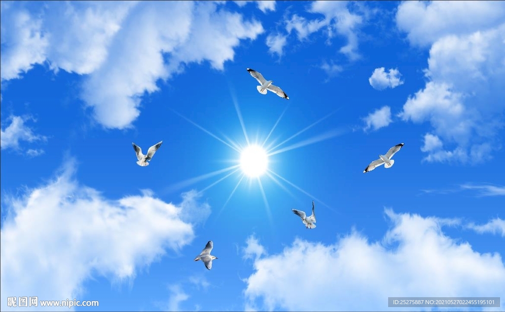 蓝天白云鸽子 