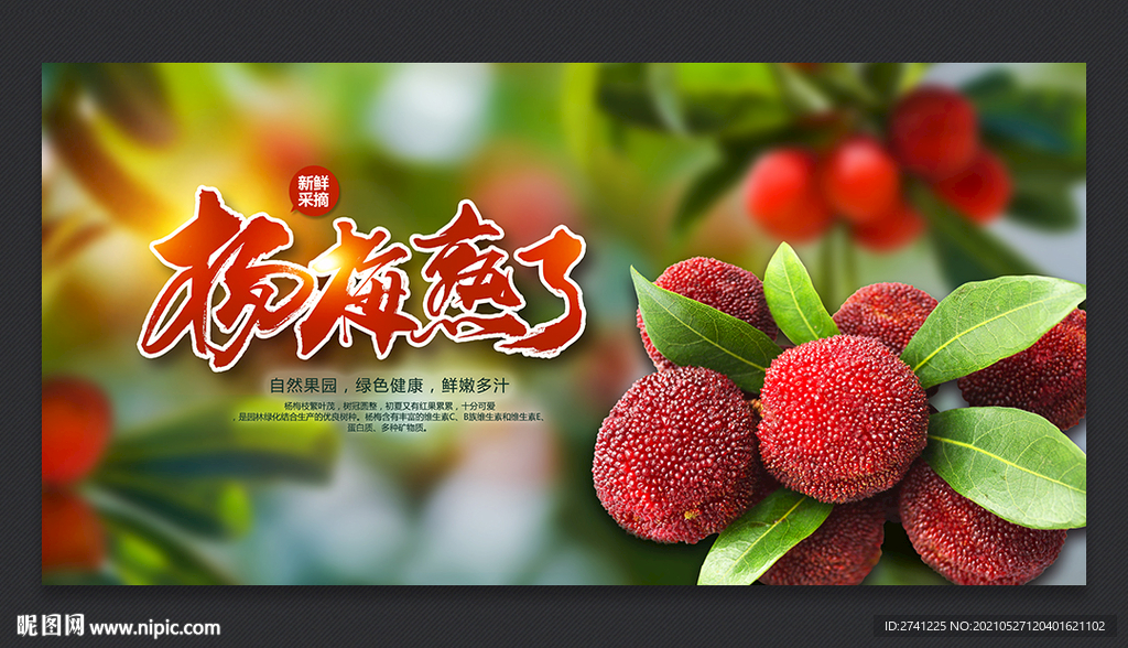 杨梅