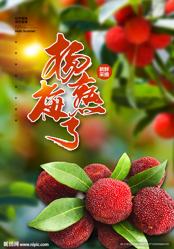 杨梅