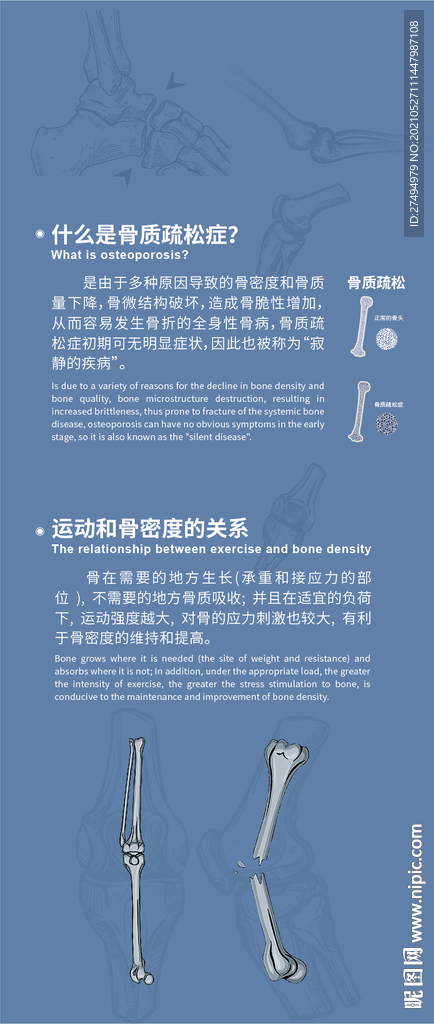 骨骼图文