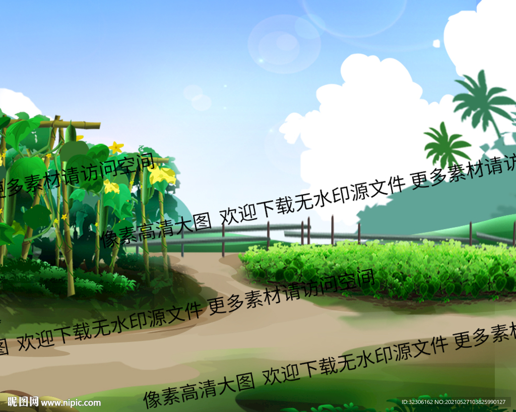 菜园 黄瓜
