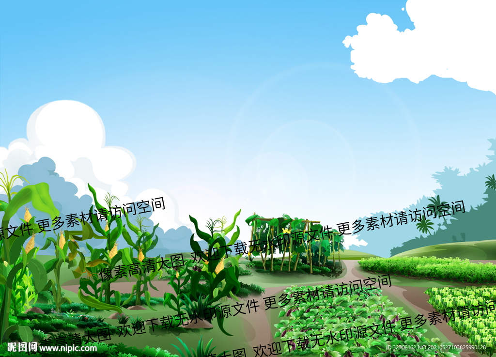 菜园  玉米 茄子 丝瓜