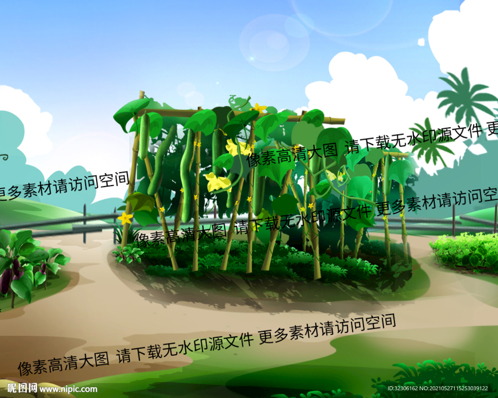 菜园 菜地 黄瓜