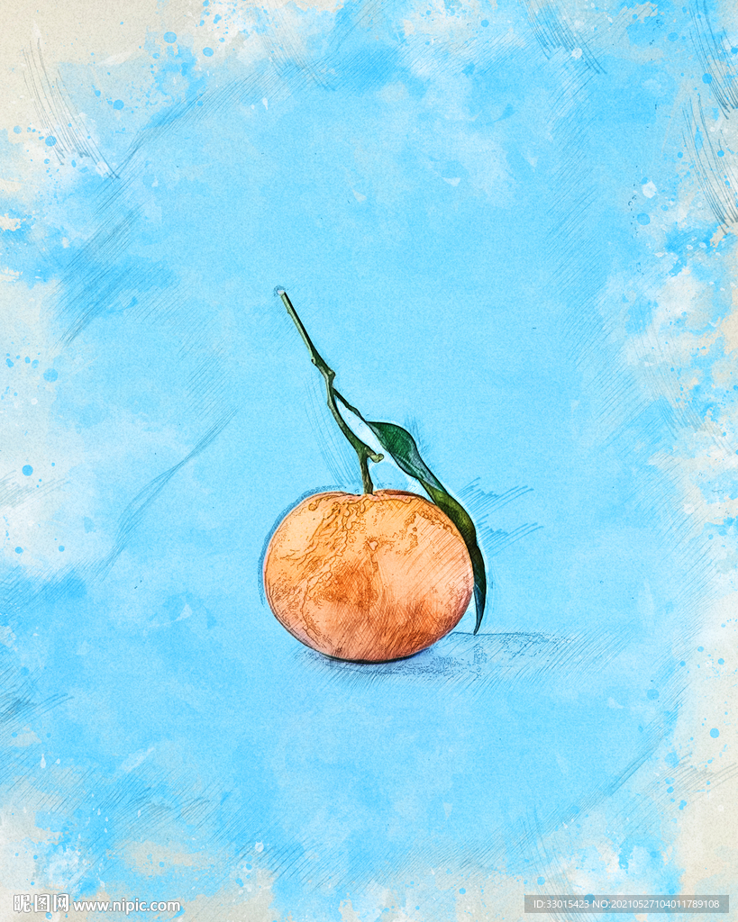 橘子小蜜橘手绘插画