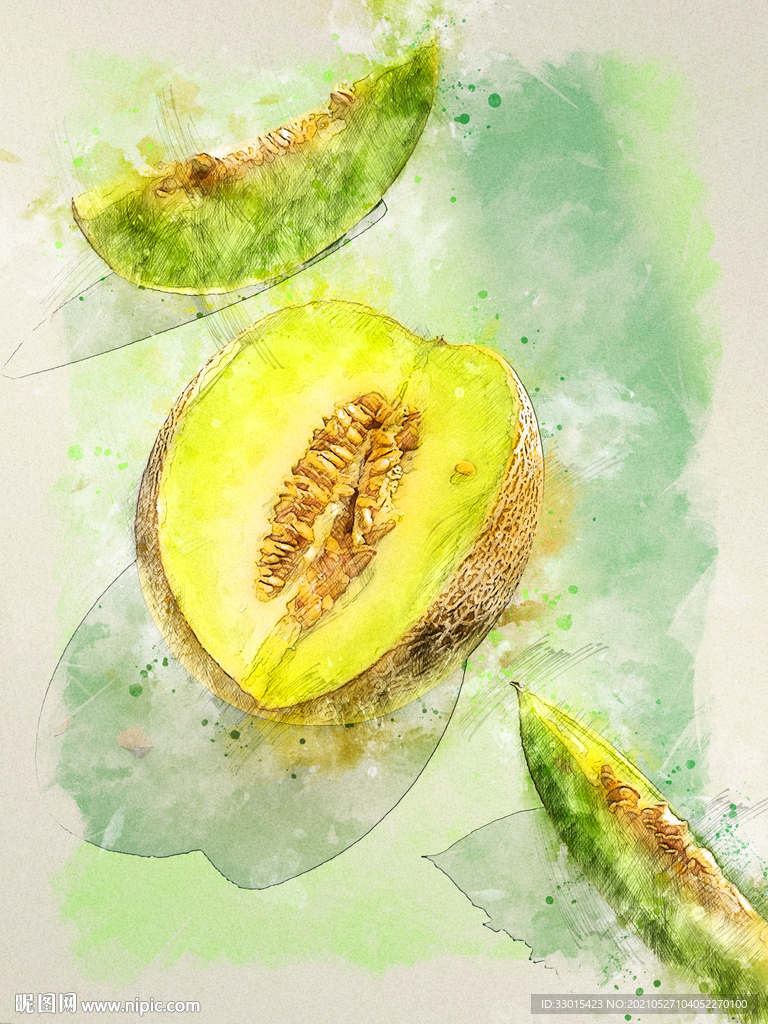 哈密瓜网纹瓜插画手绘
