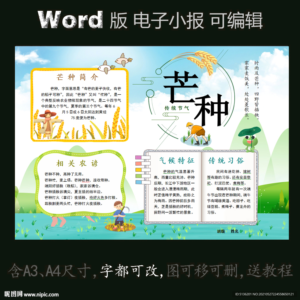 word版电子小报节气芒种
