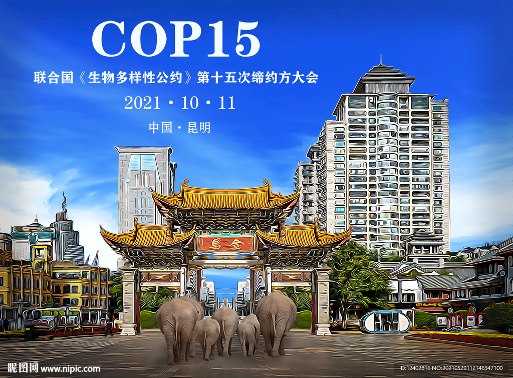 手绘COP15生物多样性公约