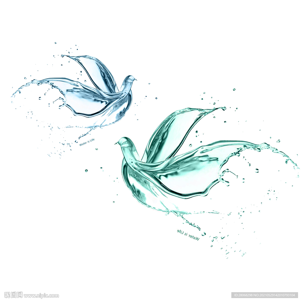 装饰插画水鸟元素