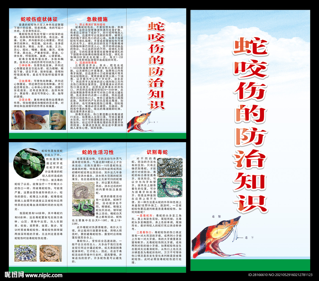 蛇咬伤 折页