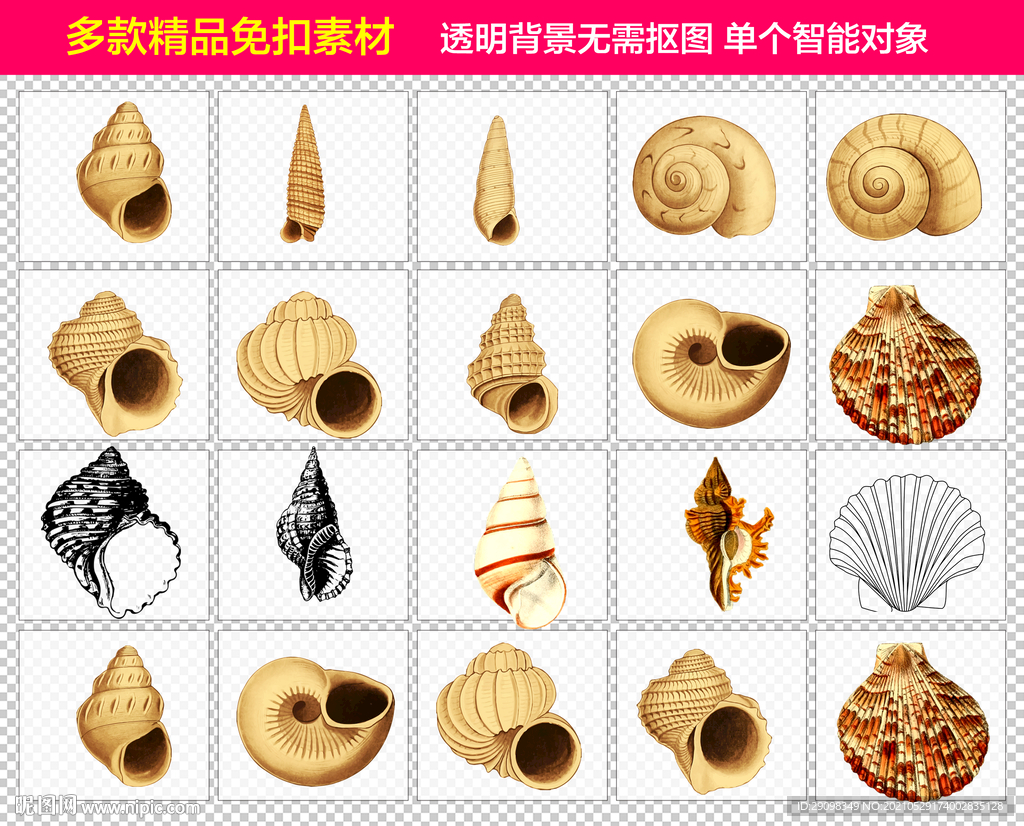 海螺免抠素材