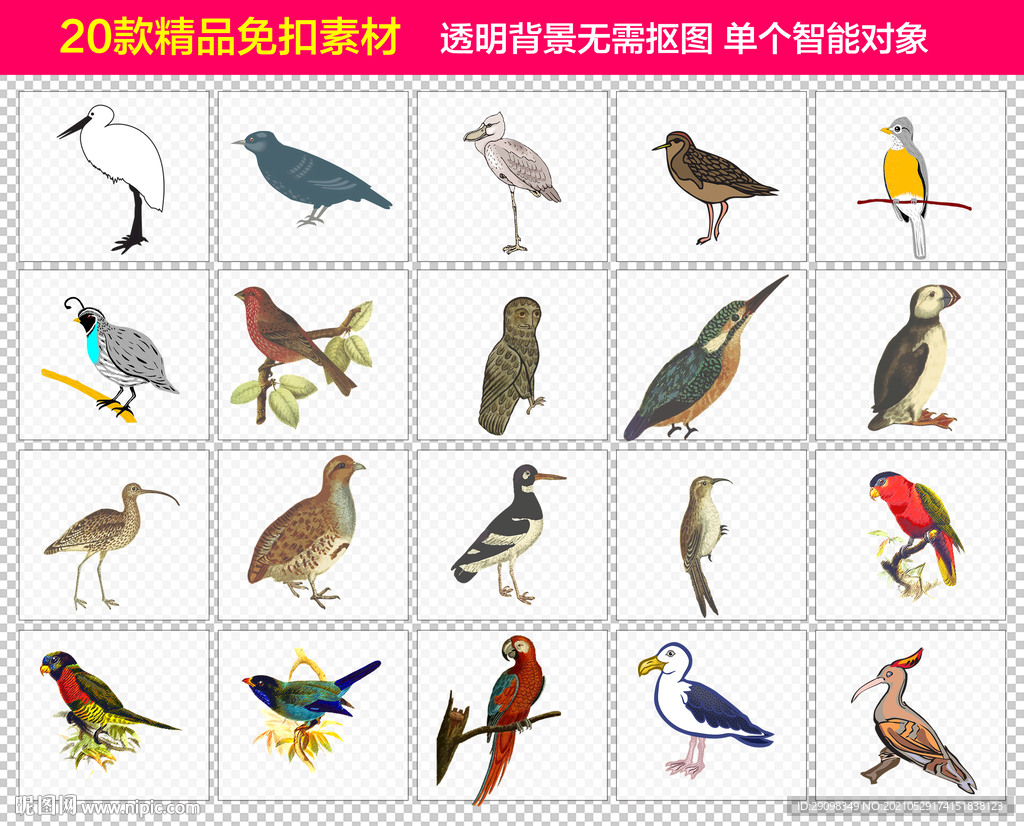 鸟免抠素材
