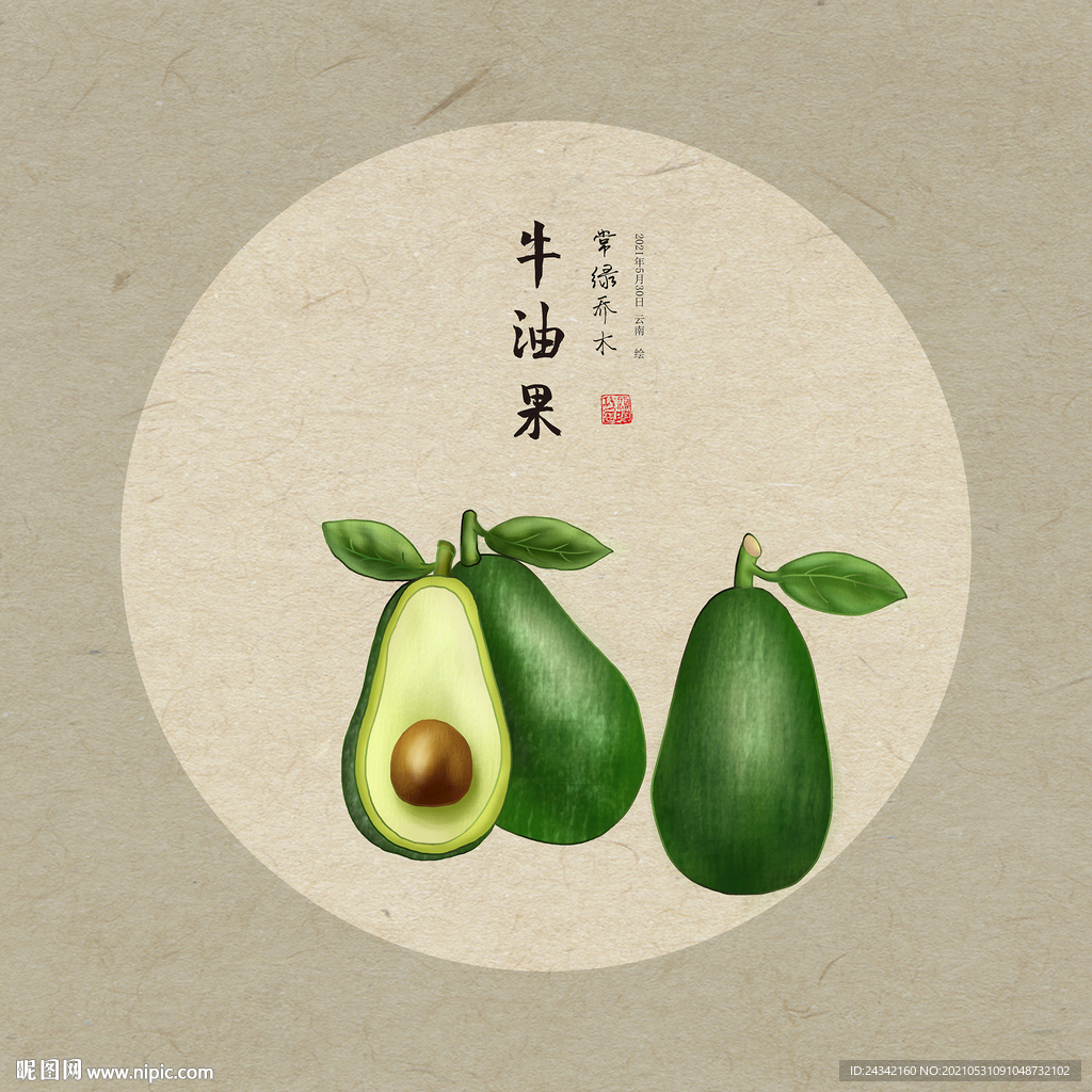 手绘牛油果