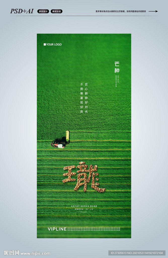 芒种