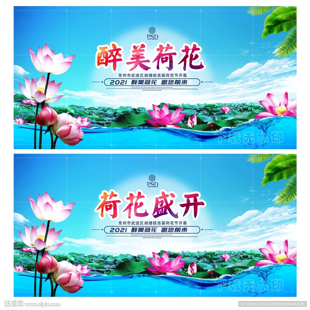 荷花