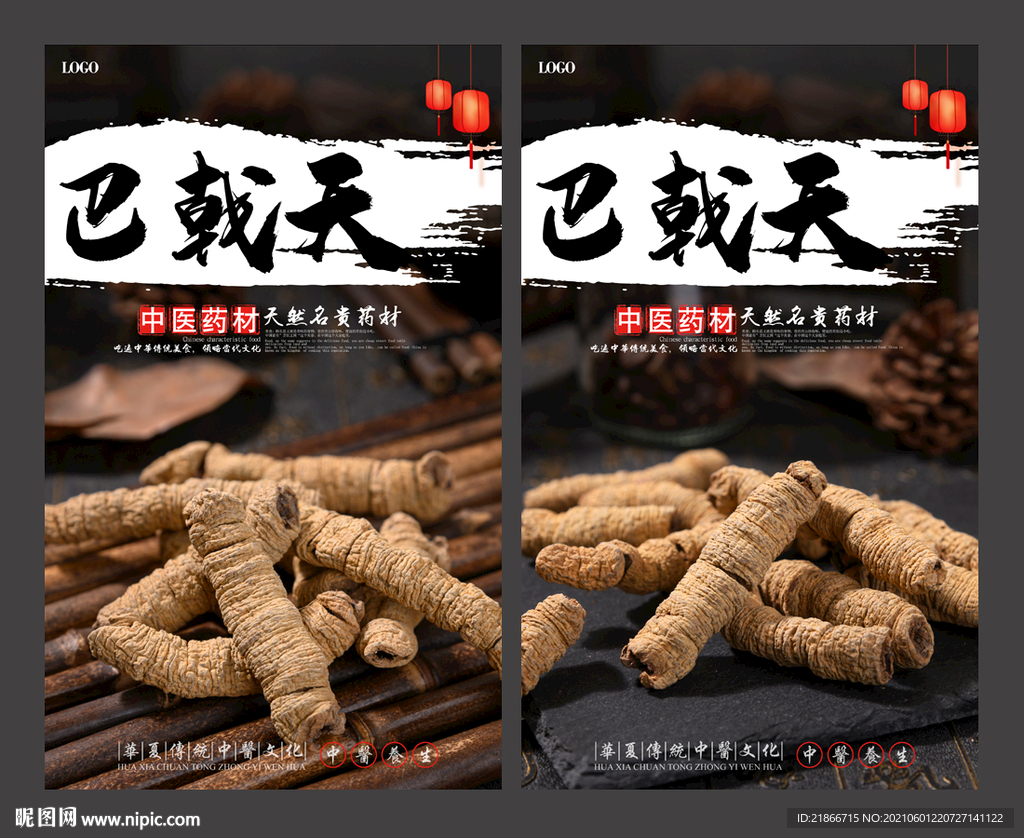 巴戟天