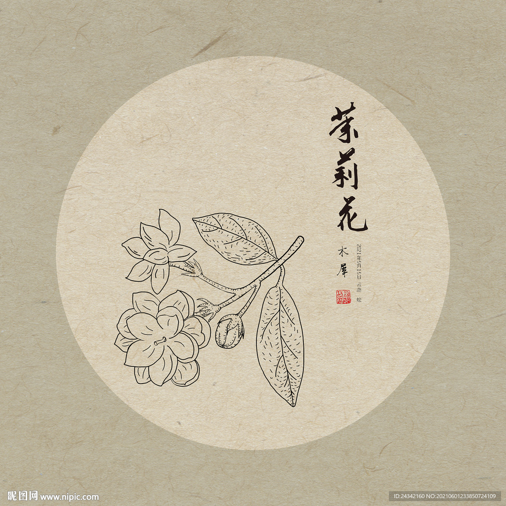 手绘茉莉花